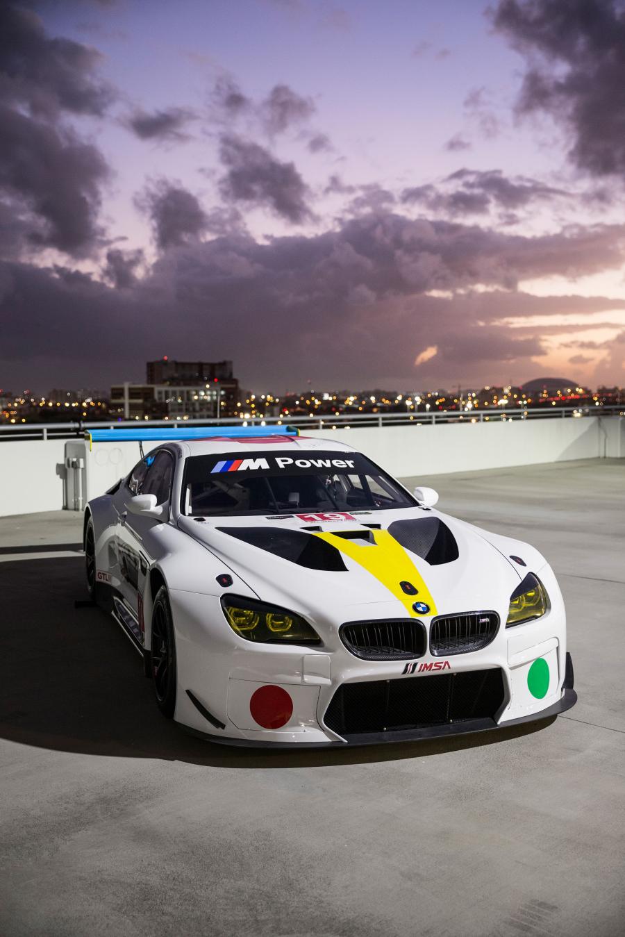  BMW M6 GTLM Art Car by John Baldessari (F13) 2016 года  (фото 9 из 11)